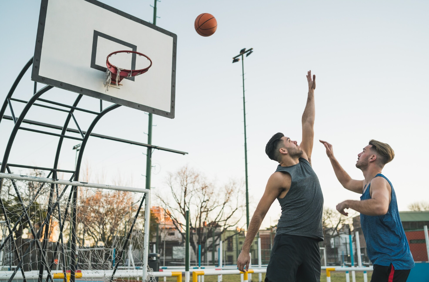 College Basketball Standings: Top Teams and Conference Leaders Ranked
