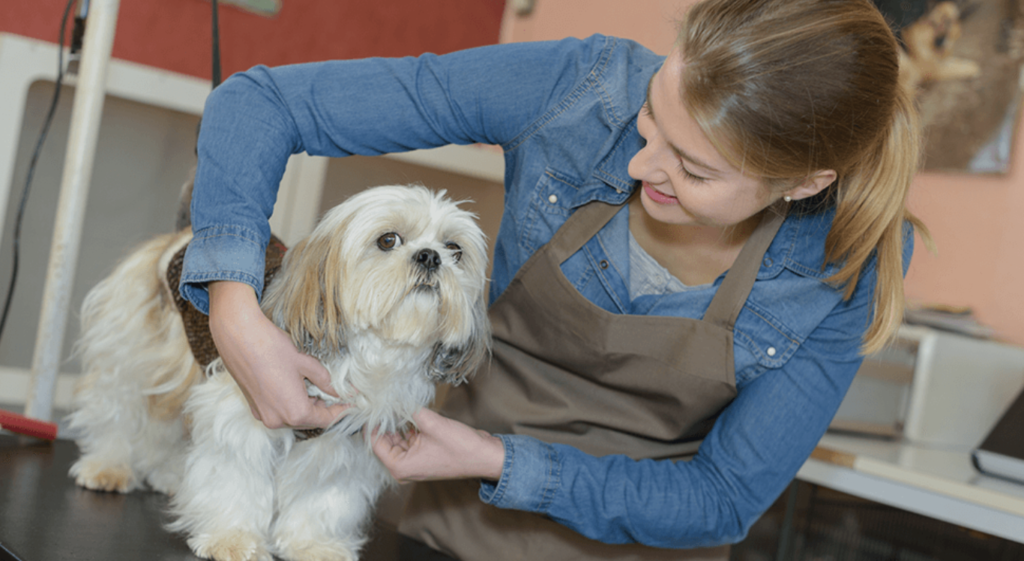 Pet Care and Pet Service Franchises